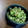 ☆にん☆'s cooksnap of when they made 【農家のレシピ】蒸しナスのずんだ和え.