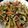 クック20GHAT☆'s cooksnap of when they made 節約、簡単！チンジャオロース.