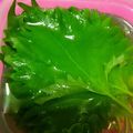 ♪チョコたんママ♪'s cooksnap of when they made 摘みたてよりシャッキリ⁈大葉の保存方法.