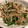 sasakurei's cooksnap of when they made 簡単！味付豚こまのもやしとピーマン炒め.