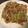 ヴィーナスけい's cooksnap of when they made 長崎名物！皿うどん.