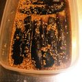 しげkitchen's cooksnap of when they made 簡単な茄子お浸し.