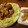 きなコッコ's cooksnap of when they made 鶏のから揚げ◆ねぎソース◆◇.