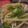 yunatanママ's cooksnap of when they made ついでもう1品♪ 豆腐サラダ☆.