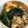 ☆ひなごろー☆'s cooksnap of when they made 我が家の鶏そぼろ丼♪.