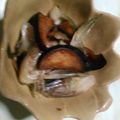 のぶなお７'s cooksnap of when they made ナスと茗荷と塩昆布の浅漬け.