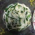 にむばすしゅたーぜん's cooksnap of when they made もやしとニラのナムル★香味ペーストで簡単.