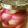 クックKA7VXA☆'s cooksnap of when they made ミョウガの甘酢漬け.