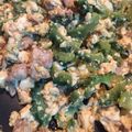 メグミユ's cooksnap of when they made 苦くない✿ゴーヤチャンプル.