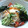 ｷｭｰﾋﾟｰﾊｳｽ's cooksnap of when they made 冷やし中華？ううん、もやし中華☆.