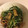 クックPW9C2T☆'s cooksnap of when they made 超簡単！おいしー！油揚げと水菜の炒め物.
