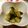 ぴょんこ623's cooksnap of when they made さっぱり♥酢の物.