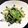 macky_'s cooksnap of when they made しらすとロメインレタスの炒め和え.