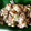 ゆっきい９'s cooksnap of when they made 簡単☆和風きのこチャーハン.