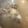 キャンｄ's cooksnap of when they made スープストック！あっさり豚骨スープ.