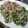 kotohime00's cooksnap of when they made めんつゆで簡単！オクラのおかか和え.