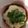 ma___111's cooksnap of when they made 夏にぴったり！とろろ冷奴.