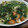 あゆたっくん's cooksnap of when they made シャウエッセンとほうれん草のみぞれあん.