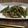maytan555's cooksnap of when they made しし唐と豚挽肉の甘辛炒め.