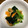 Marmo's cooksnap of when they made 小松菜と油揚げの煮浸し.