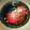 まぷ1010's cooksnap of when they made 簡単♡トマトのお漬け物.
