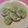 nekoland's cooksnap of when they made 椎茸のねぎ塩のっけ.