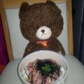 ミーちゃん姉妹のれ's cooksnap of when they made 意外な美味しさ!?イカの塩辛茶漬け.