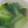 みっひぃぬ's cooksnap of when they made 青梗菜のスープ.