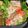 ぷちとまっ's cooksnap of when they made お弁当に♫♬ パプリカのマヨ炒め.