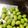 aya_bee's cooksnap of when they made 余った枝豆！.