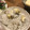 みゅーるしあな's cooksnap of when they made 栗ご飯にぴったり栗のゆで方♪.