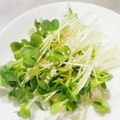 RIKOTORA's cooksnap of when they made つまみのかいわれ.