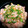 美貴姉's cooksnap of when they made 鮭とお沢庵の簡単混ぜご飯.