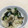 LAHAINAママ's cooksnap of when they made ホタテときのこの旨みごはん.