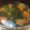 たま☆さん's cooksnap of when they made トマトとわかめのたまごスープ.