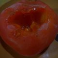 コリラックマ☆'s cooksnap of when they made 柿シャーベット.