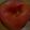 コリラックマ☆'s cooksnap of when they made 柿シャーベット.