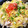 ゆーちゃん？'s cooksnap of when they made 華やか☆鮭のちらし寿司♪.