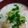 rikihaha's cooksnap of when they made 白菜とカニカマの豆乳スープ.