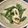 しぃの台所's cooksnap of when they made モロッコインゲンの胡麻・マヨネーズ和え.