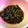 クック7AL3NC☆'s cooksnap of when they made 青唐辛子の佃煮.