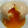 ヒカゲヘゴ's cooksnap of when they made とろ〜り半熟たまごのおでん！！.