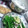 ひむとも's cooksnap of when they made 手巻き寿司 具①.