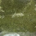 クックGQ52KM☆'s cooksnap of when they made 新鮮バジルジェノベーゼソース&ペースト.