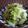 ayureo's cooksnap of when they made 白菜で激ｳﾏ!白いご飯もお酒も進みます★.