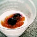 むうむ☆★'s cooksnap of when they made 低糖質な水切りヨーグルトのムース.