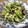 yuuukitty's cooksnap of when they made ワカメとえのきの中華風炒め的な常備菜。.
