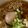 Nozzzzzy's cooksnap of when they made 簡単！美味しい！煮玉子(*^^*).