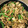 とまぴたクッキング's cooksnap of when they made 牛肉とインゲンの炒めもの♪簡単.