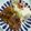 クックBJFPQ1☆'s cooksnap of when they made ほっくほくで甘いかぼちゃコロッケ.